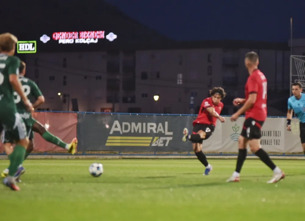Gol Kontića