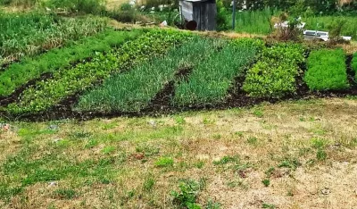 Biv&scaron;i radnik FEP-a uzgojem bijelog luka stvorio siguran izvor prihoda