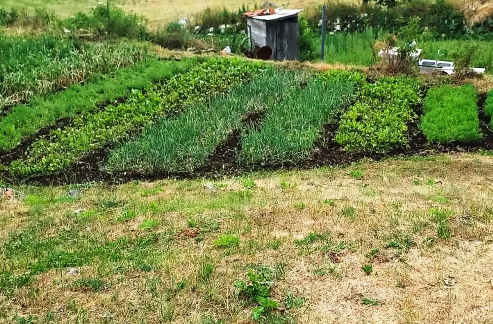 Biv&scaron;i radnik FEP-a uzgojem bijelog luka stvorio siguran izvor prihoda