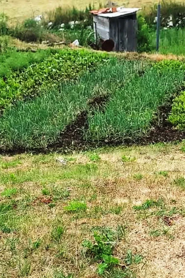 Biv&scaron;i radnik FEP-a uzgojem bijelog luka stvorio siguran izvor prihoda