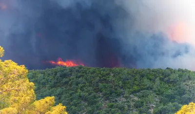 Zaustavljeno širenje velikog šumskog požara u Francuskoj
