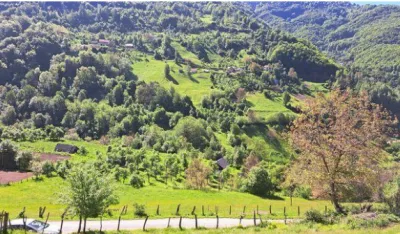 Pokolj u Veliki