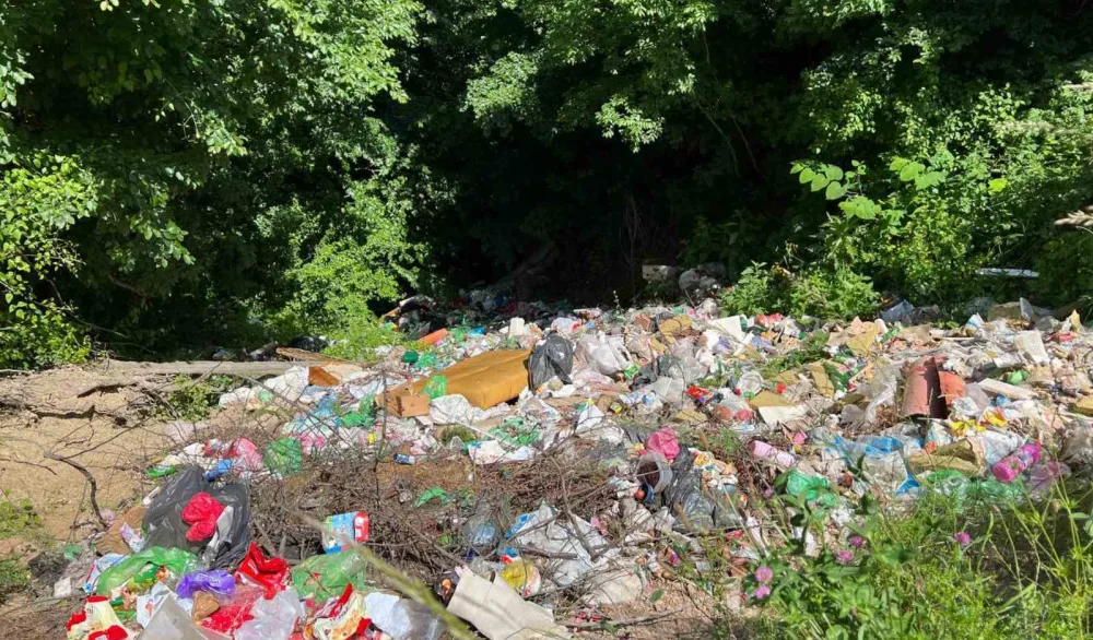 U Crnoj Gori 316 "divljih" deponija