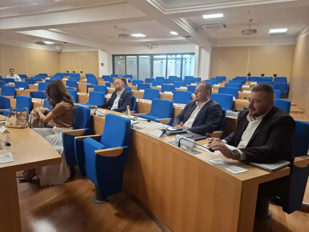 Članovi odbora za izbor i imenovanja 