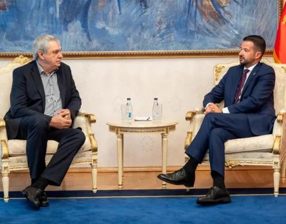Primjena vje&scaron;tačke inteligencije u Crnoj Gori