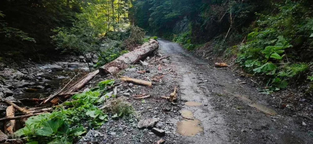 U Parku prirode &bdquo;Komovi&ldquo; o&scaron;tećen put i obala rijeke