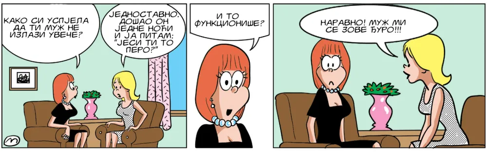 Strip Dana - Autor: Mirko Zulić
