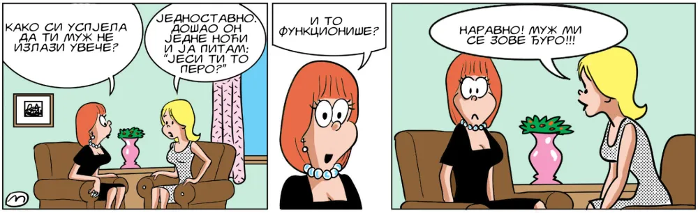 Strip Dana - Autor: Mirko Zulić