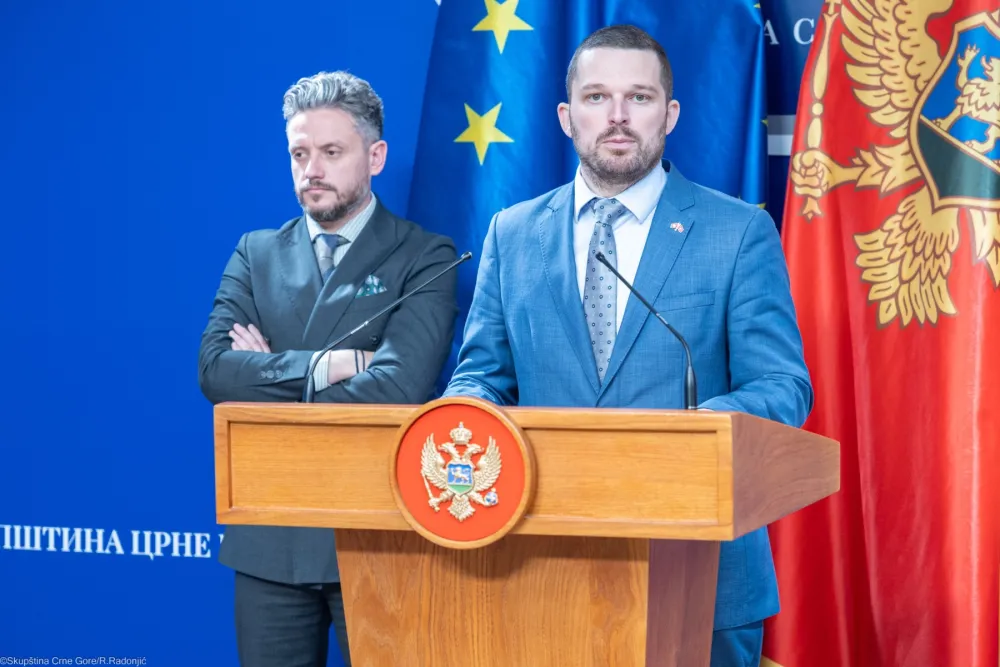 URA Zoran Mikić