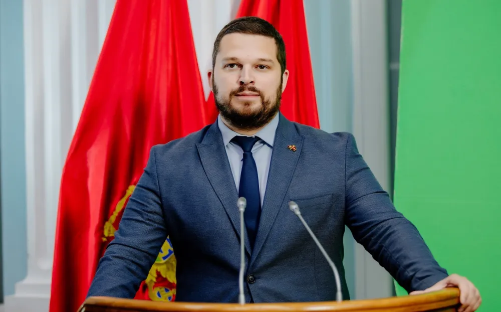 Зоран Микић