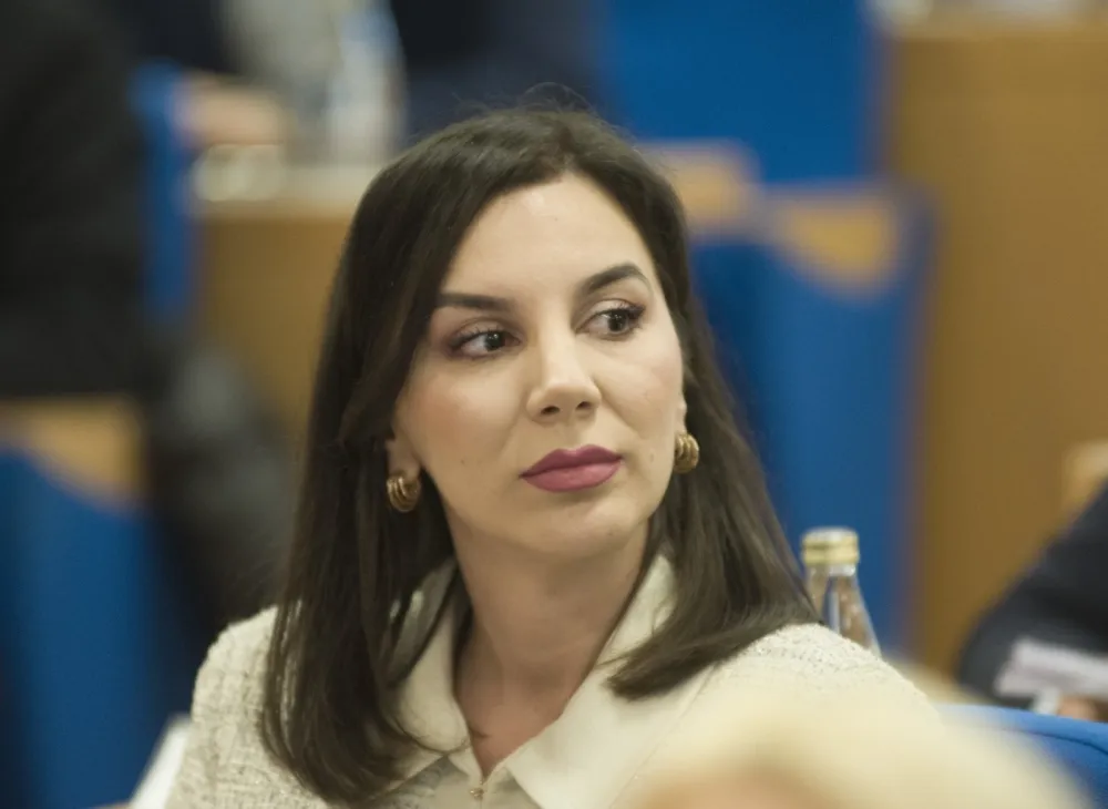 Mićović: Zbog Perićeve samovolje direktori nijesu birani, moguće pokretanje inicijative za njegovu smjenu