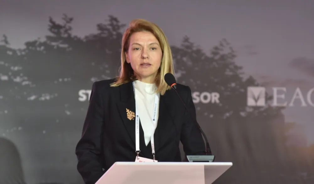 Drakić: Napredak ekonomije evidentan, ali produktivnost i proizvodnja moraju jačati