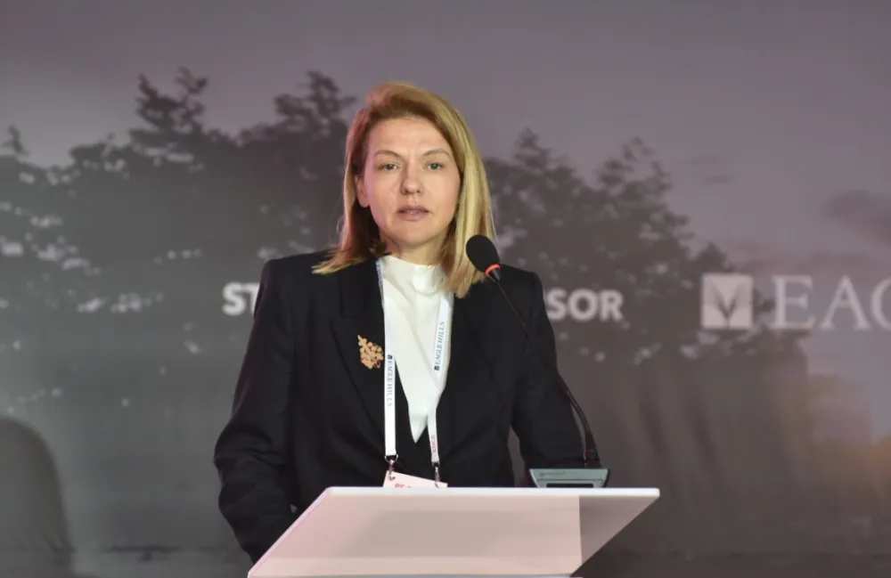 Drakić: Napredak ekonomije evidentan, ali produktivnost i proizvodnja moraju jačati