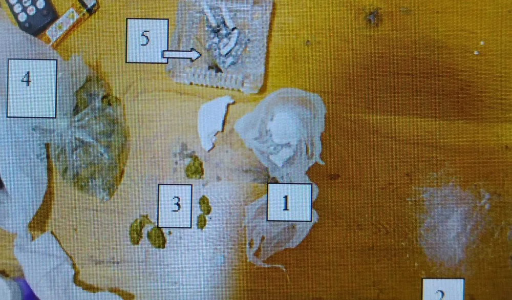 Pljevlja: Krivična prijava protiv povratnika u izvr&scaron;enju krivičnih djela iz oblasti droga, oduzeti marihuana i amfetamin