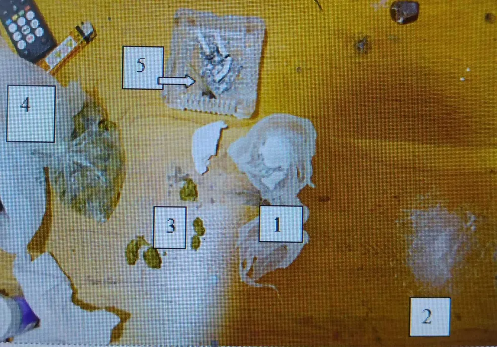 Pljevlja: Krivična prijava protiv povratnika u izvr&scaron;enju krivičnih djela iz oblasti droga, oduzeti marihuana i amfetamin
