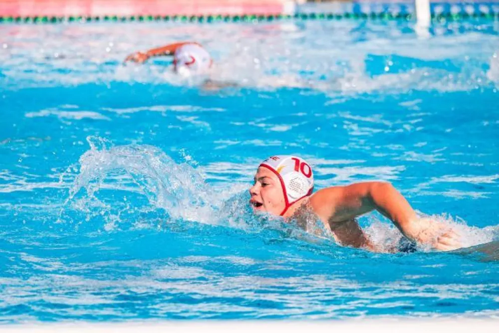 Petar Nikolić