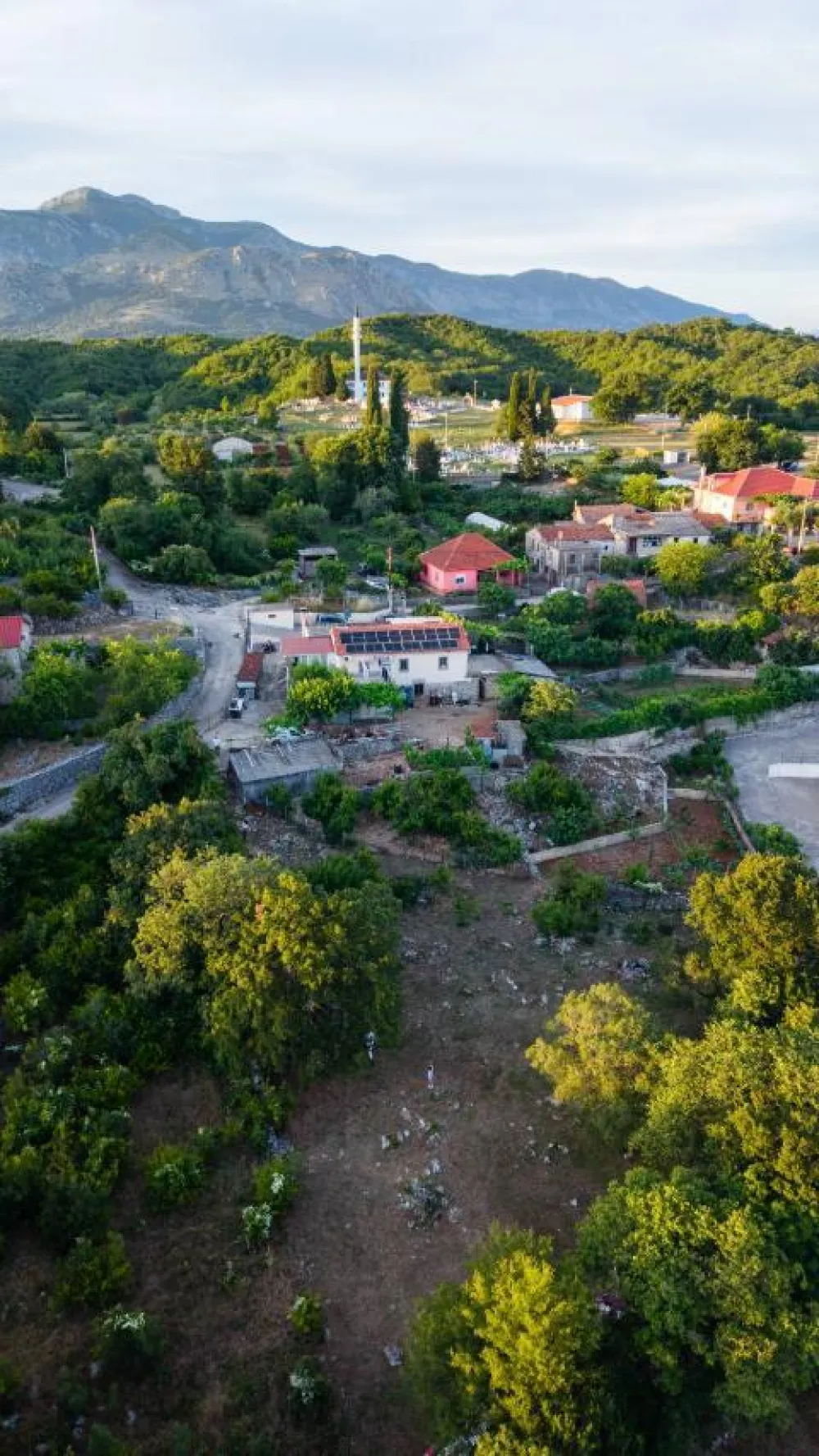 Seoski turizam prilika za plasman domaćih proizvoda: Vožnja traktorom, domaća trpeza i plodovi sa lokalnih imanjа