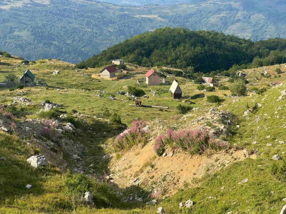 Stočari iz Andrijevice nezadovoljni: Od obećanja o mljekari ostala samo prazna priča