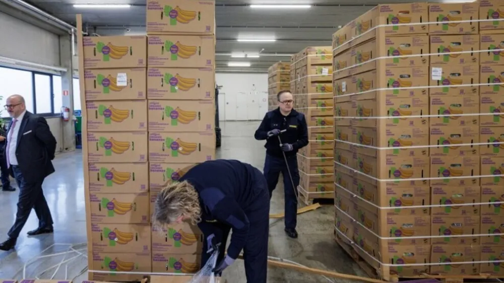 U britanskoj luci pronađeno 2,9 tona kokaina skrivenog u kutijama banana