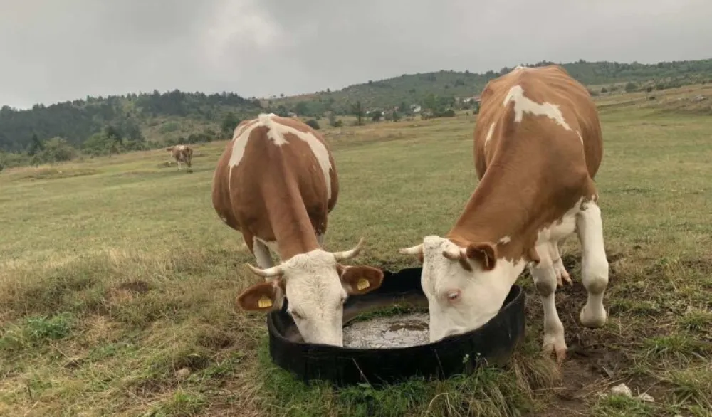 Farmeri traže hitnu reakciju države