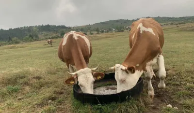 Farmeri traže hitnu reakciju države