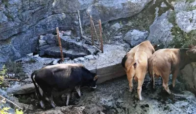 Prate su&scaron;u i bi da pomognu u okviru zakona