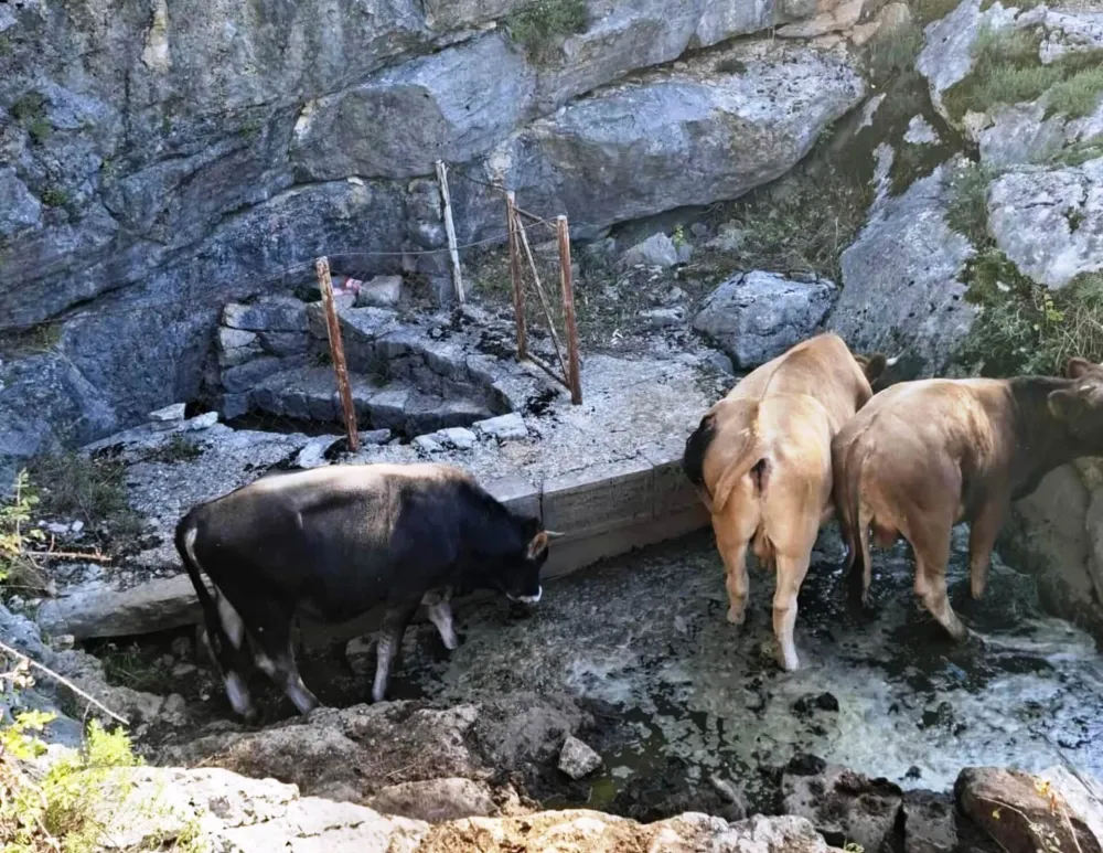 Prate su&scaron;u i bi da pomognu u okviru zakona
