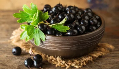 Istraživanja otkrila zanimljiv efekat crne ribizle na metabolizam i krvne sudove