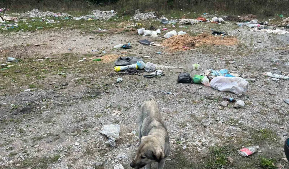 Mje&scaron;tani Petnjika traže da se zaustavi odlaganje smeća ispod Jasikovca: Ukloniti divlju deponiju u Batunima