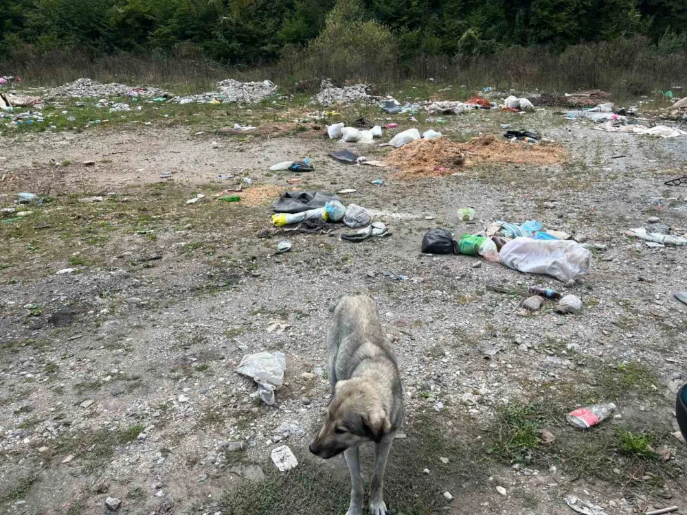 Mje&scaron;tani Petnjika traže da se zaustavi odlaganje smeća ispod Jasikovca: Ukloniti divlju deponiju u Batunima