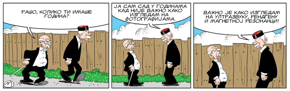 Strip Dana - Autor: Mirko Zulić