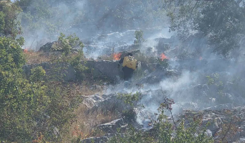 U Tuzima odbranili kuće, izgorio dio Vranjske gore