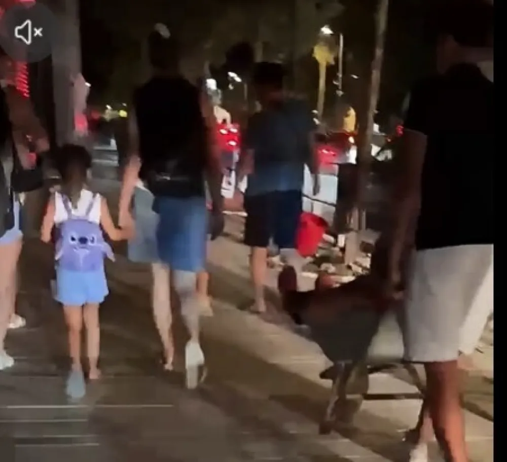 Snalažljivost u vatrenoj stihiji: Unuk baku evakusao u kolicima