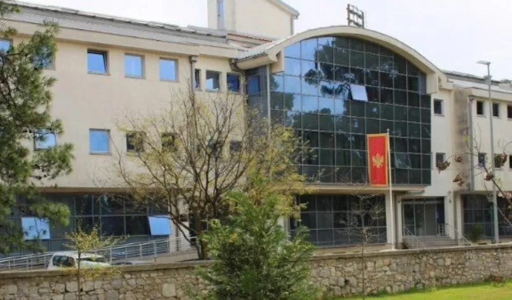 MPNI: Živanović izabrana na osnovu rezultata, a ne nacionalne ili političke pripadnosti