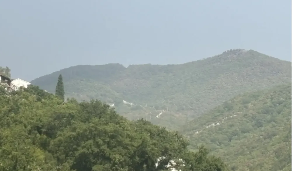 Požar Herceg Novi