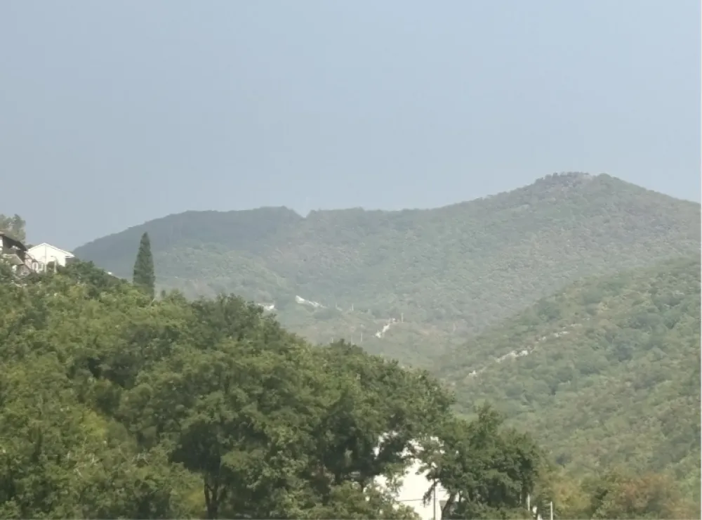 Požar Herceg Novi