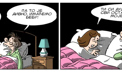 Strip Dana - Autor: Mirko Zulić