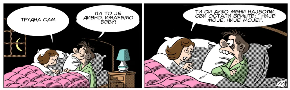 Strip Dana - Autor: Mirko Zulić