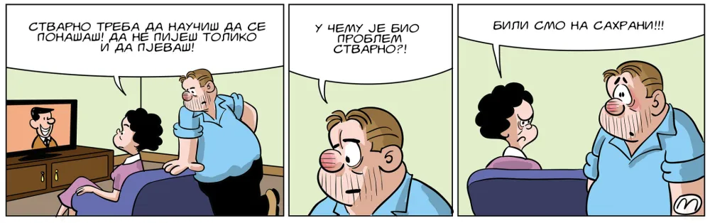 Strip Dana - Autor: Mirko Zulić