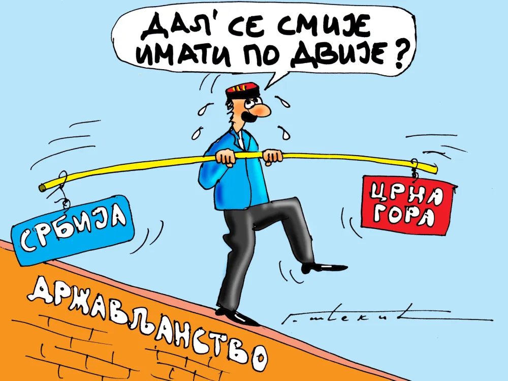 Karikatura Dana - Autor: Goran &Scaron;ćekić