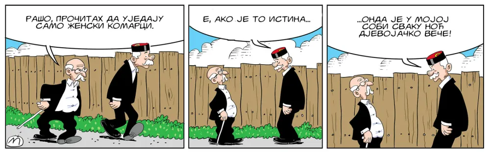 Strip Dana - Autor: Mirko Zulić