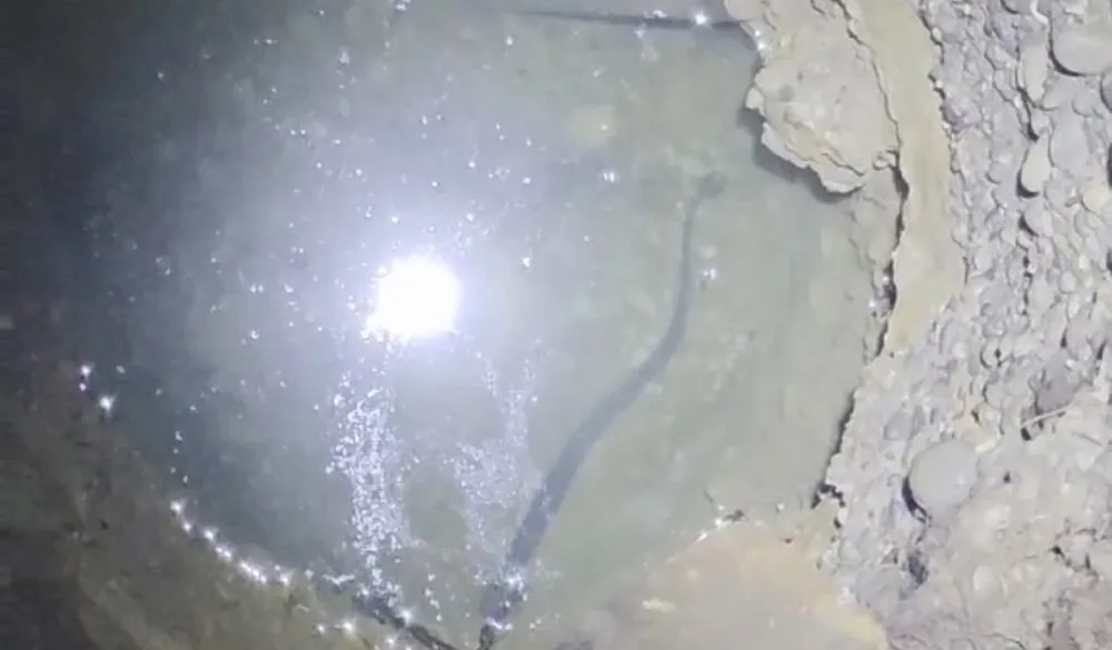 (VIDEO) Neobična priča iz dvori&scaron;ta porodice Lekić: Jegulja 35 godina živi u mraku starog bunara