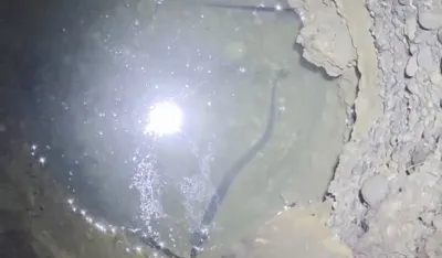 (VIDEO) Neobična priča iz dvori&scaron;ta porodice Lekić: Jegulja 35 godina živi u mraku starog bunara