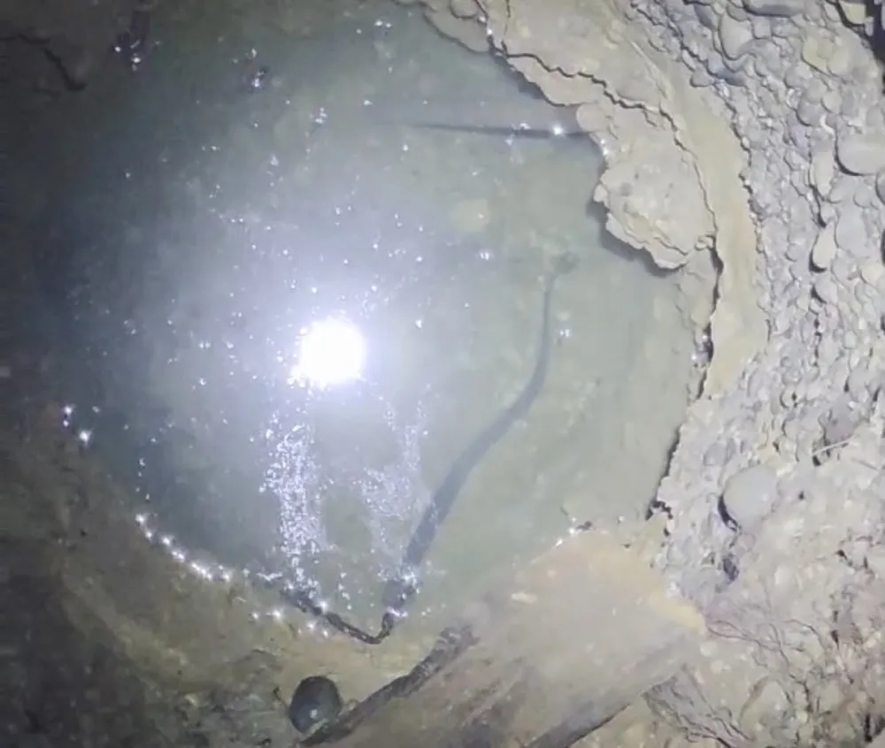 (VIDEO) Neobična priča iz dvori&scaron;ta porodice Lekić: Jegulja 35 godina živi u mraku starog bunara