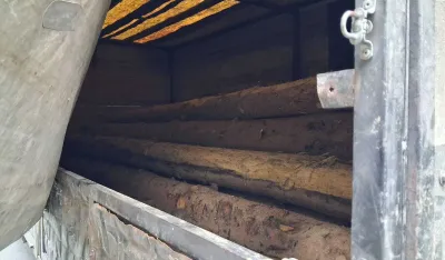 &Scaron;umska krađa Berane