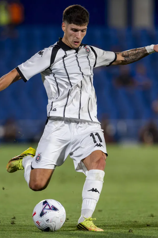 Milan Vukotić