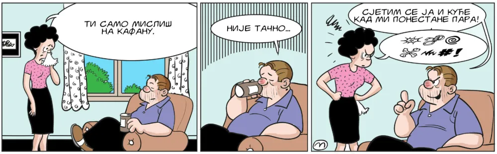 Strip Dana - Autor: Mirko Zulić