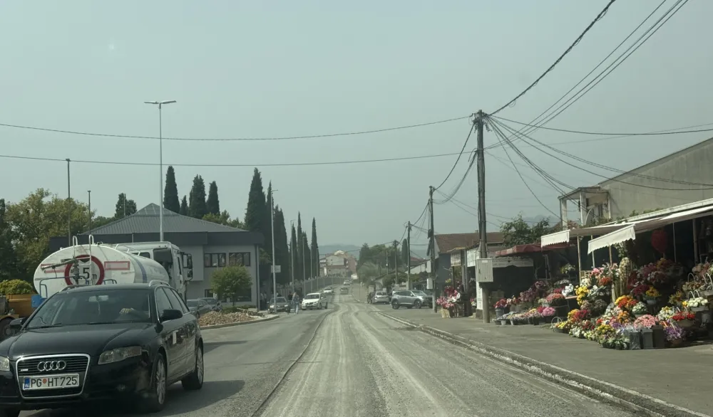 Zasadiće 103 stabla čempresa, ko&scaron;ćele i liriodendrona