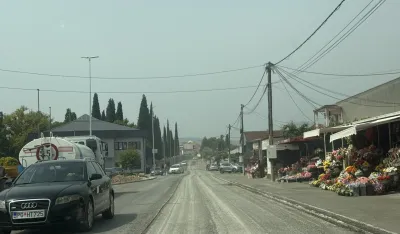 Zasadiće 103 stabla čempresa, ko&scaron;ćele i liriodendrona
