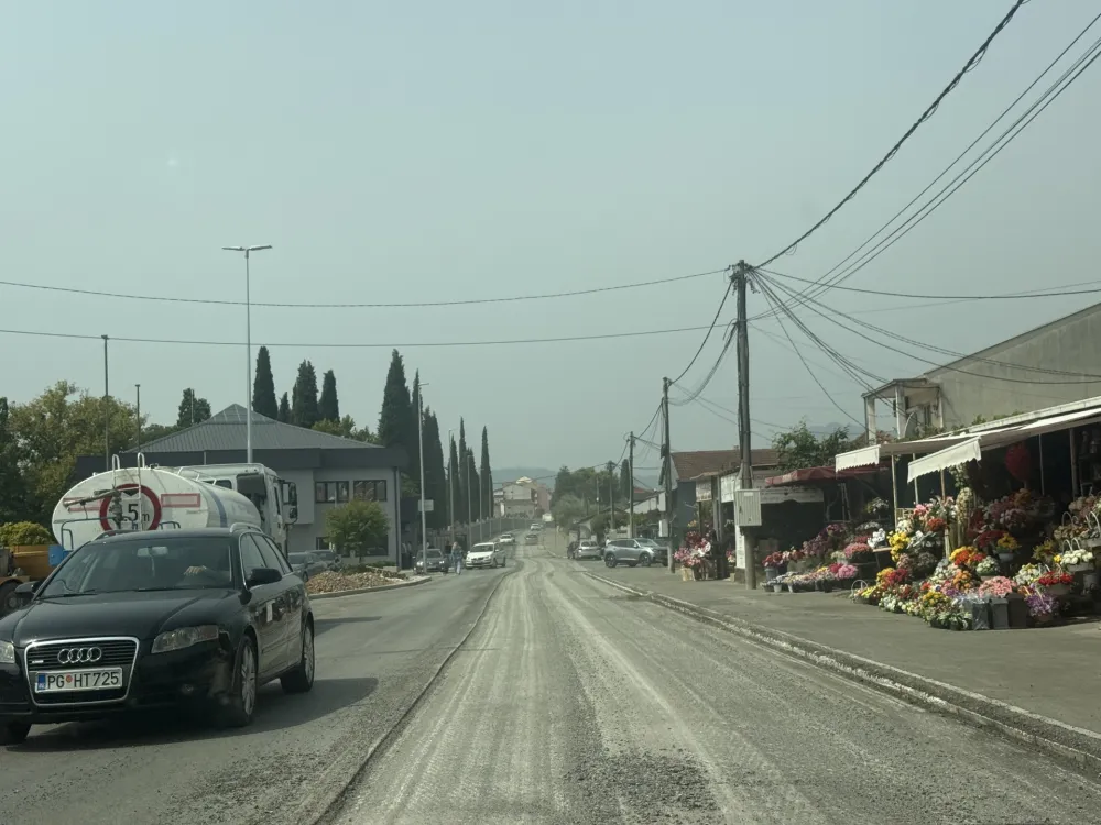 Zasadiće 103 stabla čempresa, ko&scaron;ćele i liriodendrona